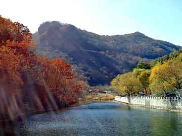 新澳天天开奖资料大全旅游团，美人图小说